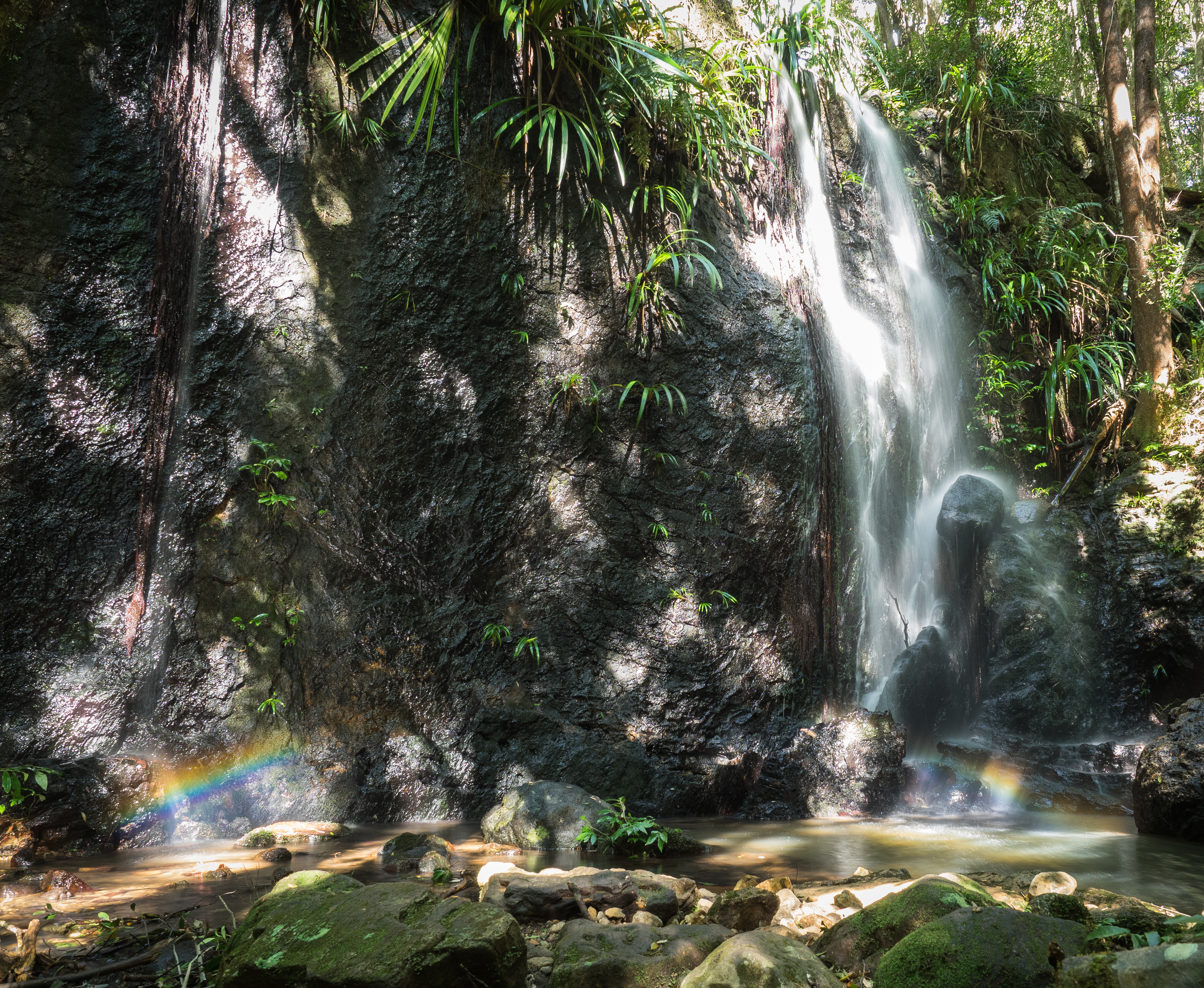 Lamington 24-4-171.jpg