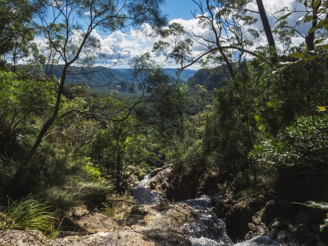 Lamington 24-4-175.jpg